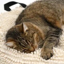 Cojín Para Mascotas Color Crema 21 Cojín Para Mascotas Color Crema -Mascota Tienda 104122 katze fg 5644 5