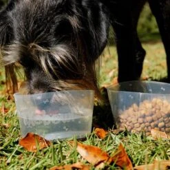 Comedero Plegable Mobowl -Mascota Tienda 111118 texstar mobowl foldablebowl hs 02 9