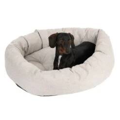Cama Modern Living Bailey Para Perros 13 Cama Modern Living Bailey Para Perros -Mascota Tienda 111544 hundebett baily fg 0610 8