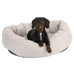 Cama Modern Living Bailey Para Perros 16 Cama Modern Living Bailey Para Perros -Mascota Tienda 111544 hundebett baily fg 0614 5