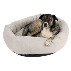 Cama Modern Living Bailey Para Perros 14 Cama Modern Living Bailey Para Perros -Mascota Tienda 111545 hundebett baily fg 0572 2
