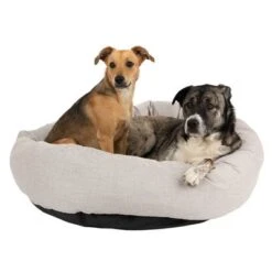 Cama Modern Living Bailey Para Perros 17 Cama Modern Living Bailey Para Perros -Mascota Tienda 111545 hundebett baily fg 0574 0