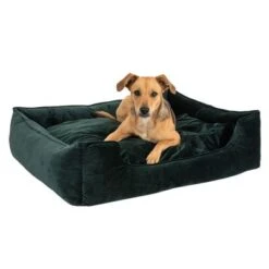 Cama Modern Living Fern Para Perros 20 Cama Modern Living Fern Para Perros -Mascota Tienda 111546 hundebett fern fg 0532 4
