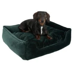 Cama Modern Living Fern Para Perros 19 Cama Modern Living Fern Para Perros -Mascota Tienda 111707 hundebett fern fg 0620 4