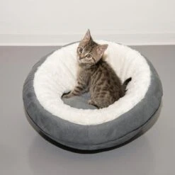 Cueva Ellora Para Gatos Y Perros Pequeños -Mascota Tienda 116107 und katze fg 5030 9