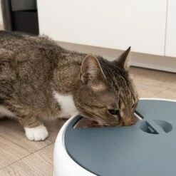 Alimentador Automático Noma -Mascota Tienda 116296 futterautomat noma fg 9445 3