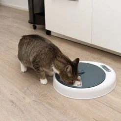 Alimentador Automático Noma -Mascota Tienda 116296 futterautomat noma fg 9456 9