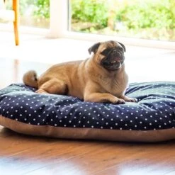 Cojín De Espelta Aumüller Para Perros 12 Cojín De Espelta Aumüller Para Perros -Mascota Tienda 121697 aumueller dinkelkissen hs 05 3