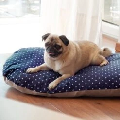 Cojín De Espelta Aumüller Para Perros 13 Cojín De Espelta Aumüller Para Perros -Mascota Tienda 121697 aumueller dinkelkissen hs 06 6