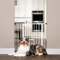 Barrera Carlson Pet Gate Con Puerta Gatera