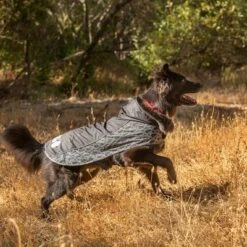 Chubasquero KONG Elements Negro Para Perros -Mascota Tienda 130697 paw kong elements regenmantel schwarz 30kg hs 04 2