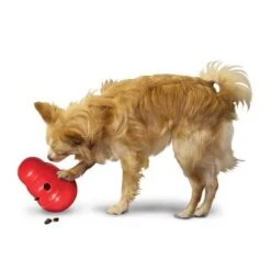 KONG Wobbler Para Snacks -Mascota Tienda 1355067777031411080314 3