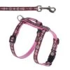 Set Hunter: Arnés + Correa Para Cachorros Y Gatos 1 Set Hunter: Arnés + Correa Para Cachorros Y Gatos -Mascota Tienda 137201 hunter geschirr sign 1 1