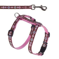 Set Hunter: Arnés + Correa Para Cachorros Y Gatos