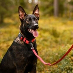 Rukka® Cube Soft Collar, Rojo / Negro -Mascota Tienda 139798 lfashion rukka cube soft halsband rot hs 06 0