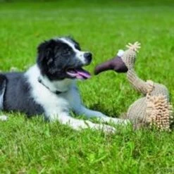 Buitre De Peluche Trixie Con Sonido -Mascota Tienda 140050 trixie hundespielzeug geier gustav 2 4 0