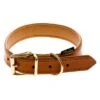 Collar De Cuero Heim Buffalo Coñac Para Perros 1 Collar De Cuero Heim Buffalo Coñac Para Perros -Mascota Tienda 14170 PLA Heim Lederhalsband Buffalo cognac FG30 1 1