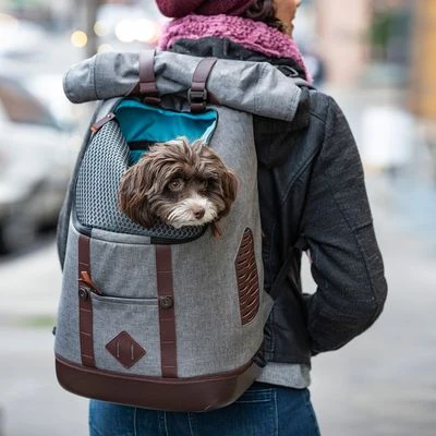 Mochila KURGO K9 Para Mascotas 5 Mochila KURGO K9 Para Mascotas - Imagen 3