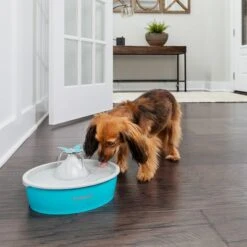 Bebedero Fuente Drinkwell Butterfly De PetSafe -Mascota Tienda 145996 radiosystems petsafe drinkwell butterfly trinkbrunnen 1 5l hs 03 1