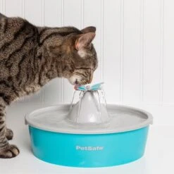 Bebedero Fuente Drinkwell Butterfly De PetSafe -Mascota Tienda 145996 radiosystems petsafe drinkwell butterfly trinkbrunnen 1 5l hs 04 8