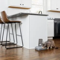 Comedero Automático Doble PetSafe® Para Mascotas -Mascota Tienda 145997 rasiosystems petsafe futterautomat 2mahlzeiten catdog 2x355xml hs 11 4