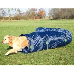 Túnel Agility Trixie -Mascota Tienda 15686 trixie agility tunnel 01 hs 9