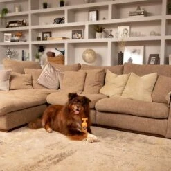 Pet Head Ditch The Dirt Champú Para Perros 10 Pet Head Ditch The Dirt Champú Para Perros -Mascota Tienda 159700 companyofanimals pethead ditchthedirt shampoo 300ml hs 06 9