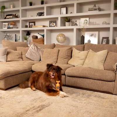 Pet Head Ditch The Dirt Champú Para Perros 6 Pet Head Ditch The Dirt Champú Para Perros - Imagen 4