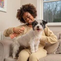 Pet Head Quick Fix Champú En Seco Para Perros -Mascota Tienda 159702 companyofanimals pethead quickfixspray 300ml hs 05 3