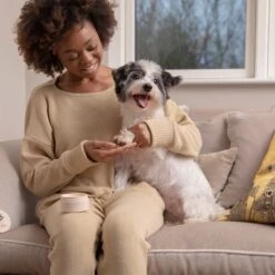 Pet Head On All Paws Paw Butter Bálsamo Para Las Almohadillas -Mascota Tienda 159703 companyofanimals pethead onall pawspawbutter 40g hs 05 1