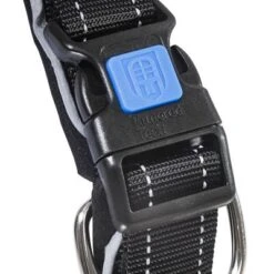 Collar ArmoredTech Dog Control Con Correa Corta Integrada Para Perros 7 Collar ArmoredTech Dog Control Con Correa Corta Integrada Para Perros -Mascota Tienda 173096 173097 173098 asaquaristik dogcontrol halsband schwarz hs 02 5