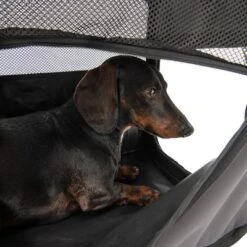 Caseta Plegable Fiona Para Mascotas -Mascota Tienda 173100 faltbare hundekiste fiona fg 6338 4