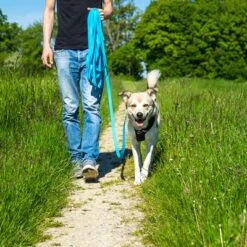 Petlando Correa Larga Para Perros Pawz & Pepper Strong Azul -Mascota Tienda 174796 174797 pawznpepper schleppleine rund geflochten blau hs 05 6