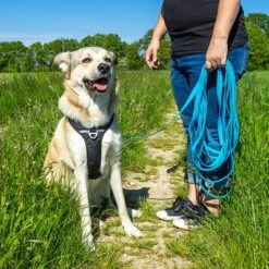 Petlando Correa Larga Para Perros Pawz & Pepper Strong Azul -Mascota Tienda 174796 174797 pawznpepper schleppleine rund geflochten blau hs 06 9