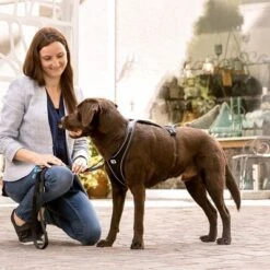 Arnés Curli Belka Comfort Negro Para Perros 24 Arnés Curli Belka Comfort Negro Para Perros -Mascota Tienda 176034 curli belka comfort geschirr schwarz hs 11 2