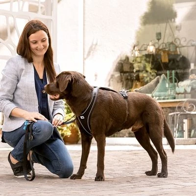 Arnés Curli Belka Comfort Negro Para Perros 13 Arnés Curli Belka Comfort Negro Para Perros - Imagen 11