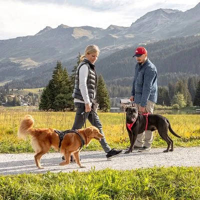 Arnés Curli Belka Comfort Negro Para Perros 5 Arnés Curli Belka Comfort Negro Para Perros - Imagen 3