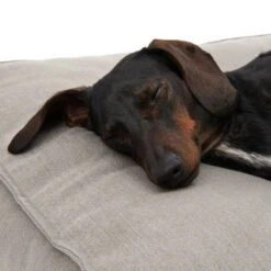 Cama Hamilton EcoLIFE Gris Para Perros -Mascota Tienda 180715 hamilton ecolife grau fg 6400 5