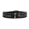 Collar De Cuero HUNTER Diamond Petit Negro Para Perros