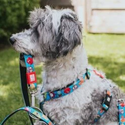 Arnés Max & Molly Little Monsters Para Perros -Mascota Tienda 186583 186584 189797 maxnmolly hg eschirr littlemonsters hs 01 7