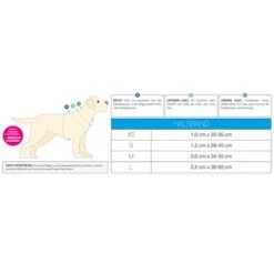 Collar Max & Molly Little Monsters Con Smart ID Para Perros 14 Collar Max & Molly Little Monsters Con Smart ID Para Perros -Mascota Tienda 186585 189896 189897 186586 maxnmolly smartid halsband littlemonsters dog hs 08 2