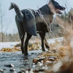 Chubasquero Bare Coal Hurtta Para Perros -Mascota Tienda 188096 188096 186536 186537 186538 186539 186540 hurtta forzooplus bare regenmantel coal hs 10 0