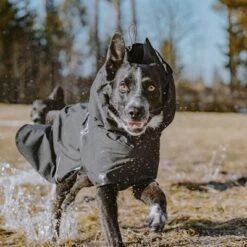 Chubasquero Bare Coal Hurtta Para Perros -Mascota Tienda 188096 188096 186536 186537 186538 186539 186540 hurtta forzooplus bare regenmantel coal hs 13 5