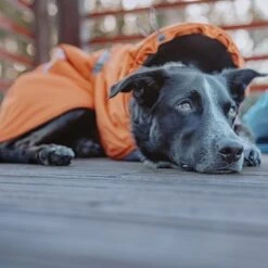 Abrigo Invernal Bare Sunrise Hurtta Para Perros 38 Abrigo Invernal Bare Sunrise Hurtta Para Perros -Mascota Tienda 188296 188297 188298 188299 188300 188301 188302 hurtta forzooplus bare winterjacke sunrise hs 18 3