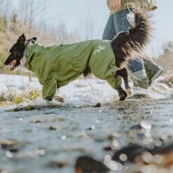 Chubasquero Bare Pine Hurtta Para Perros 20 Chubasquero Bare Pine Hurtta Para Perros -Mascota Tienda 188303 188304 188305 188396 186542 186543 hurtta forzooplus bare regenoverall pine hs 10 0