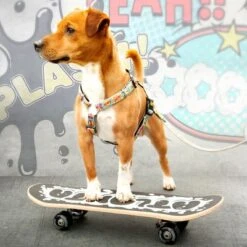 Arnés Max & Molly Cómic Para Perros -Mascota Tienda 189999 186590 190000 maxnmolly h geschirr comic hs 03 8