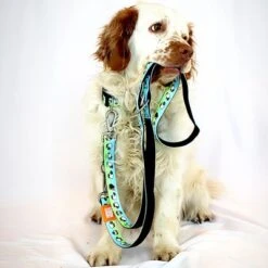 Correa Ajustable Max & Molly Black Sheep Para Perros 10 Correa Ajustable Max & Molly Black Sheep Para Perros -Mascota Tienda 190402 190403 190404 maxnmolly multifunktionsleine blacksheep hs 02 8