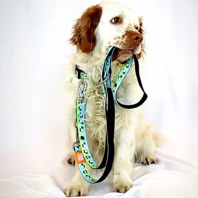 Correa Ajustable Max & Molly Black Sheep Para Perros 4 Correa Ajustable Max & Molly Black Sheep Para Perros - Imagen 2