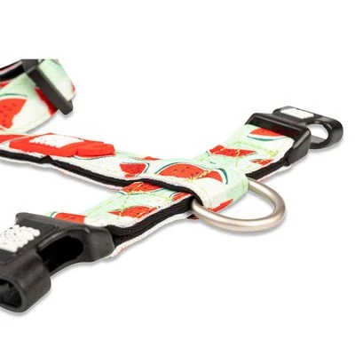 Arnés Max & Molly Watermelon Para Perros - Imagen 4