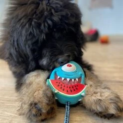 Max & Molly Bubba King Juguete De Látex Para Perros -Mascota Tienda 191100 maxn molly kuscheltier spielzeug bubba king hs 04 5